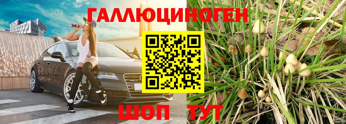 Псилоцибиновые грибы мицелий Котовск