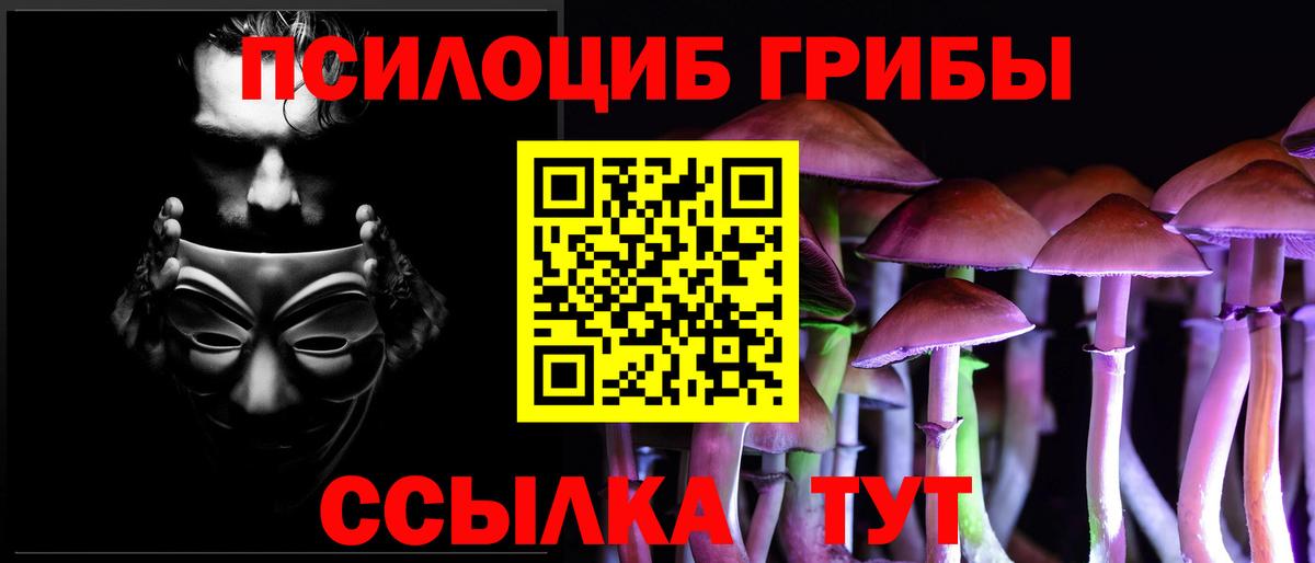 как найти наркотики  Галлюциногенные грибы ЛСД  Вход с VPN  Котовск 